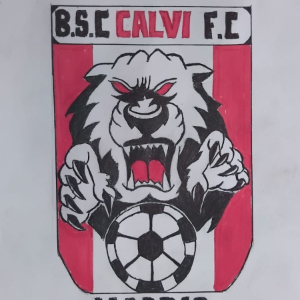 B.S.C. CALVI
