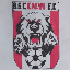 B.S.C. CALVI