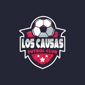 C.D. LOS CAUSAS 